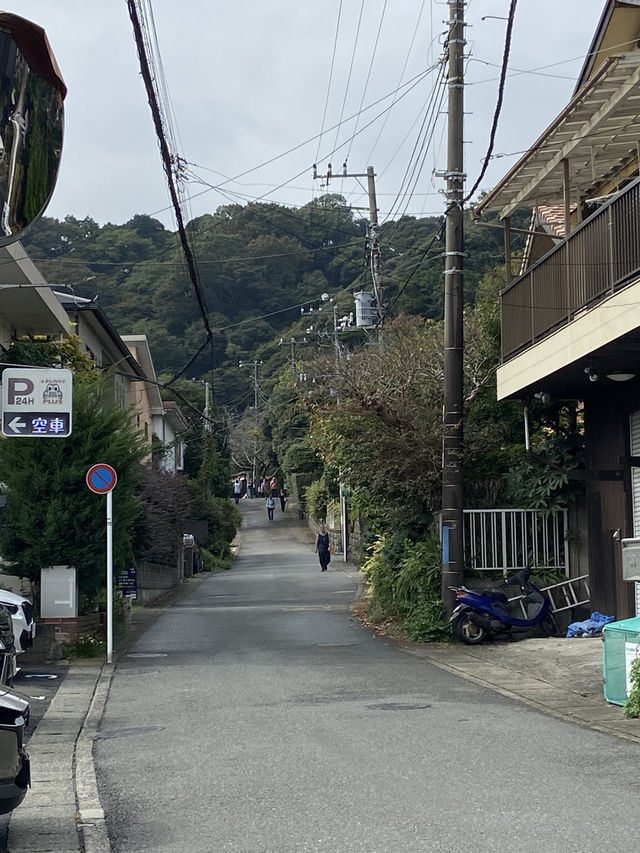 Kamakura ญีปุ่น 🇯🇵