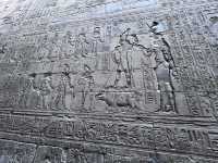 ［埃及旅遊］埃德夫神殿（Temple of Edfu）🦅法老的化身竟然有點可愛😍