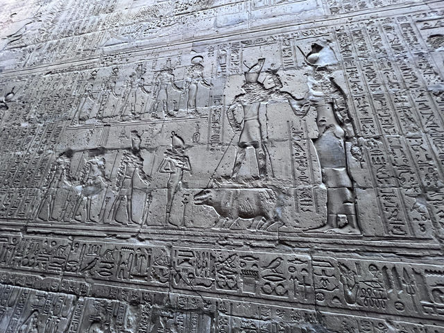 ［埃及旅遊］埃德夫神殿（Temple of Edfu）🦅法老的化身竟然有點可愛😍