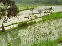 How to spend 9 days in Central Lombok Regency