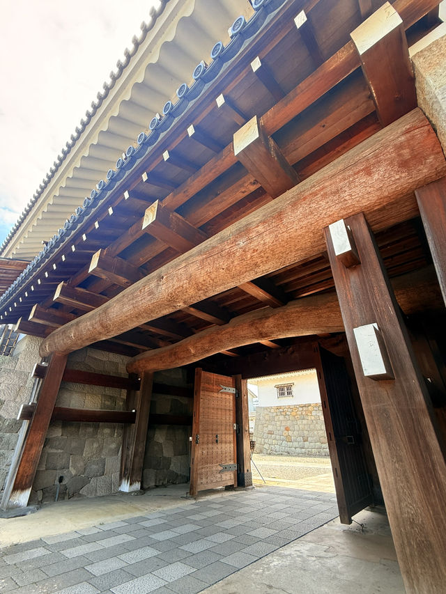 靜岡｜德川家康退位後的居所 遙控江戶的傳奇之所-駿府城