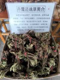 廣東景點分享 丹霞山一日遊