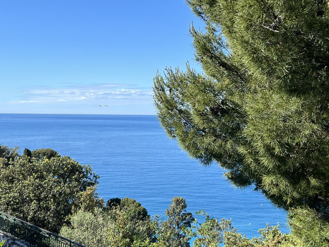 🇫🇷 南法尼斯：城堡山公園（Colline du Château） 🌴