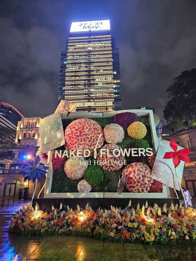夜訪歷史西式建築魅力巡禮