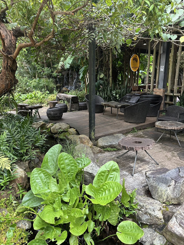 Green Escape🌳- Doi Chang Café