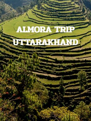 ALMORA TRIP