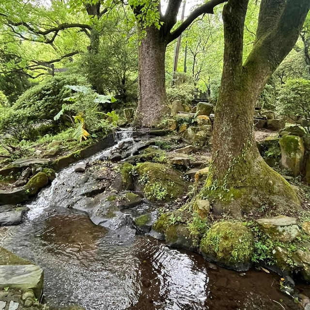 🌸⛰️ Yangming Park – The Heart of Yangmingshan 🌳✨