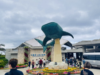 Okinawa, Japan - Okinawa Churaumi Aquarium: Ideal for Family Travel