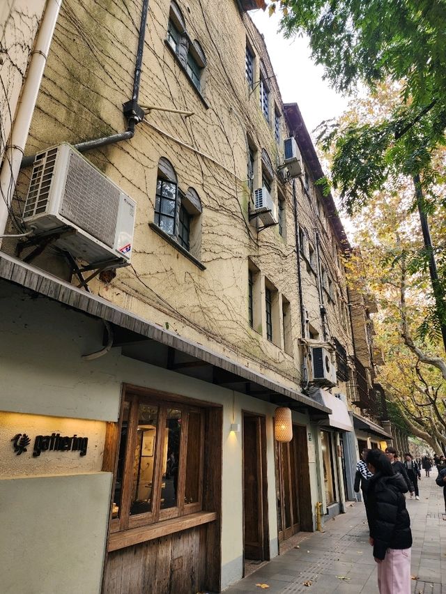 Shanghai Autumn Walk🍂