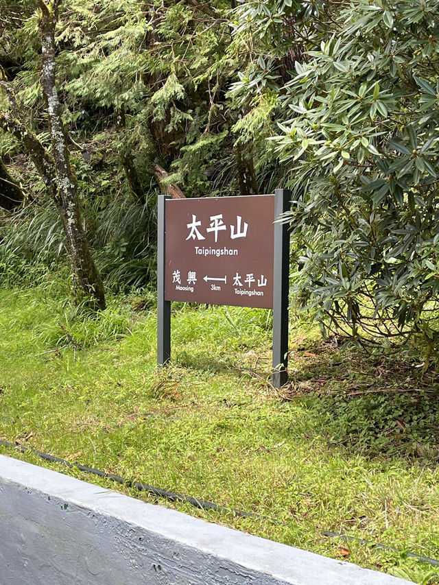 避暑勝地⛰️太平山與大自然的療癒時光