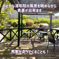 【大分】【別府】【湯布院】大分グルメ攻略✨極上のご褒美ランチ旅