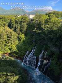 札幌⇨富良野・美瑛の旅🚗