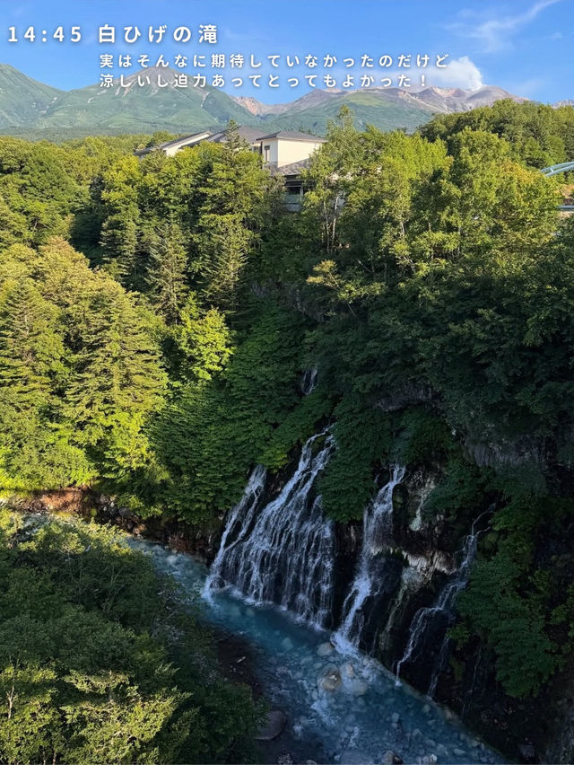 札幌⇨富良野・美瑛の旅🚗
