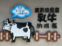 親子同遊的雲林療癒景點🐄#【千巧谷牛樂園牧場】-雲林縣崙背鄉