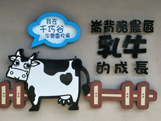 親子同遊的雲林療癒景點🐄#【千巧谷牛樂園牧場】-雲林縣崙背鄉 親子同遊的雲林療癒景點🐄#【千巧谷牛樂園牧場】-雲林縣崙背鄉