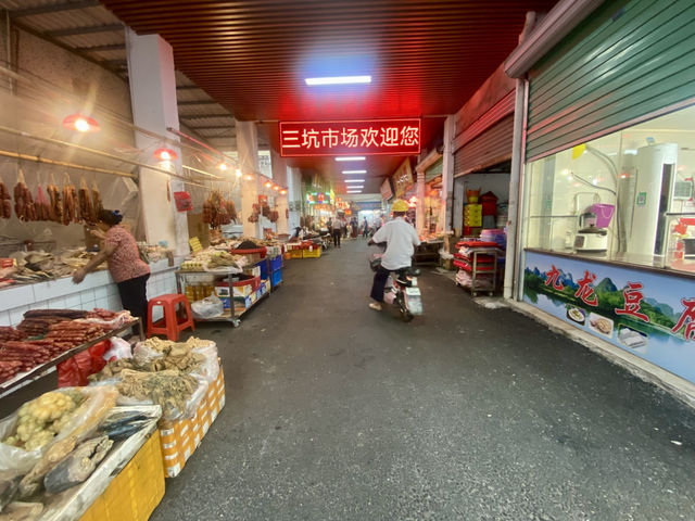 陰晴樹影下的野外漫步體驗🌴三坑鎮的水鄉風情和傳統墟市🌟 陰晴樹影下的野外漫步體驗🌴三坑鎮的水鄉風情和傳統墟市🌟