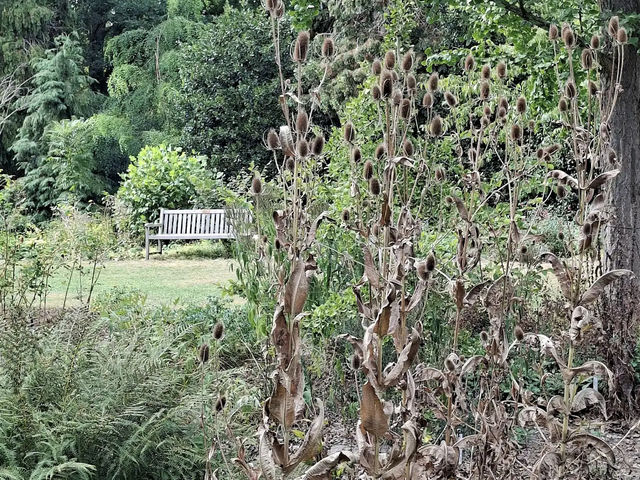 Arboretum Kalmthout