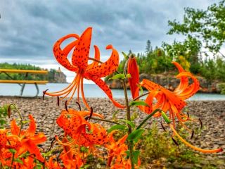 🌊 Split Rock Lighthouse State Park – Minnesota’s Beacon on the North Shore