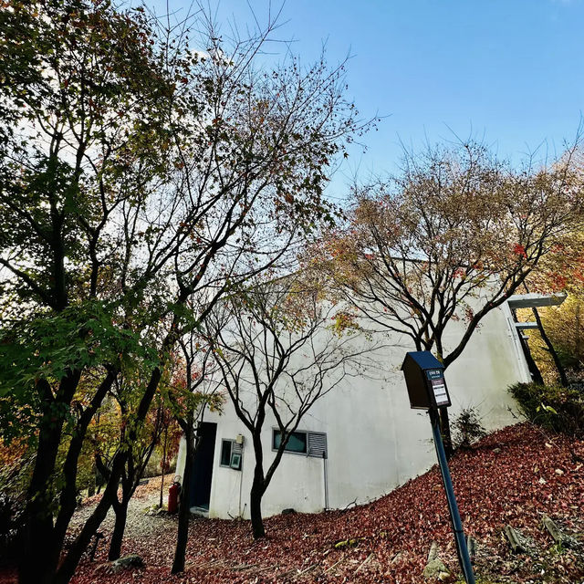 Healience Seonmaeul