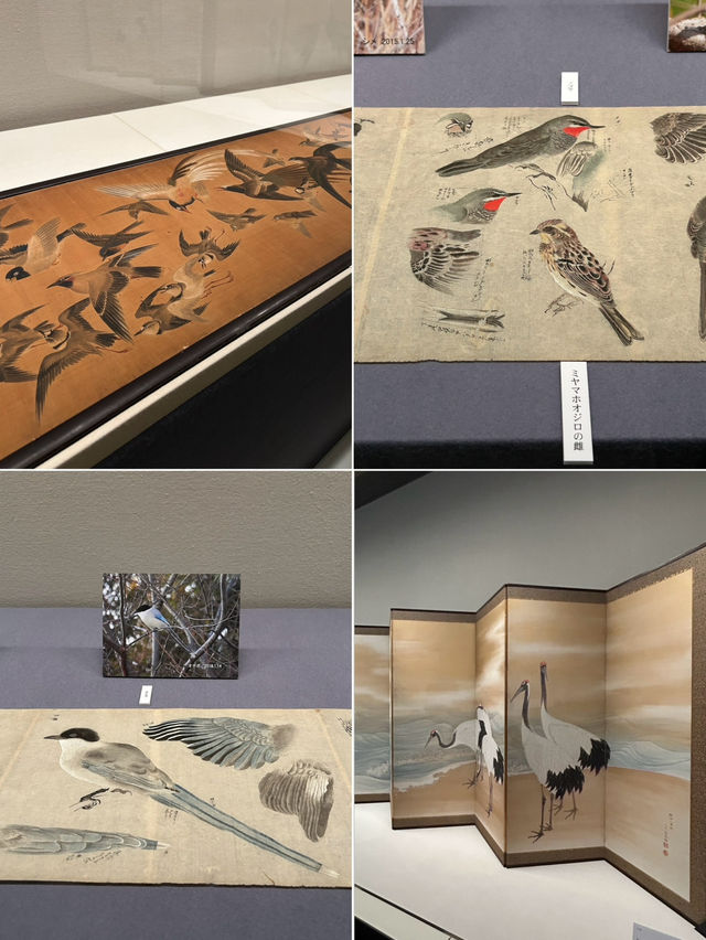 🎨 “Flowers and Birds” Exhibition at Mitsui Memorial Museum, Nihonbashi