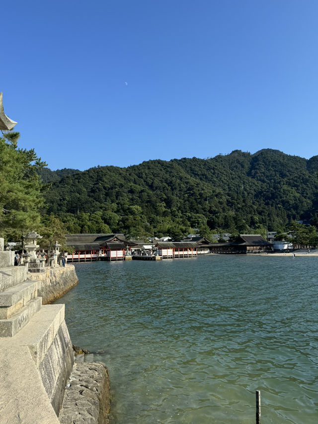 【広島】日本三景 厳島神社⛩｜宮島