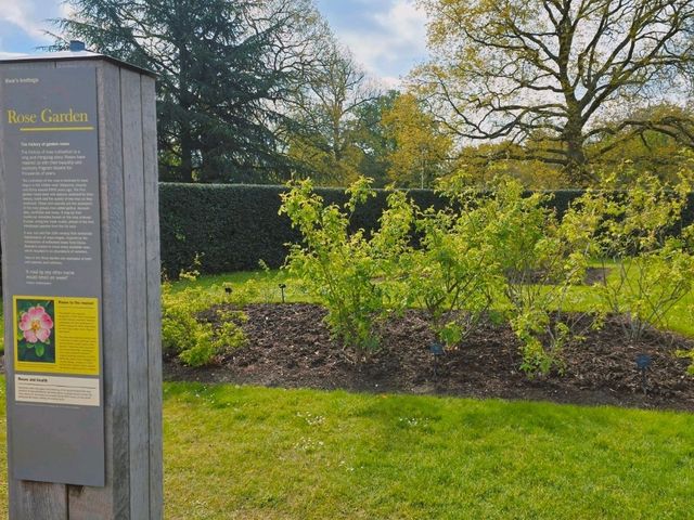 영국 왕립식물원 큐 가든의 대형 온실, 팜 하우스 영국 왕립식물원 큐 가든의 대형 온실, 팜 하우스