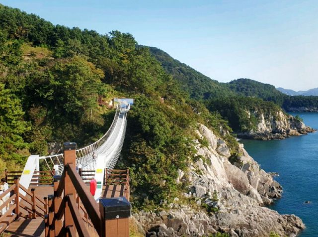 바다 위 흔들다리 🌊금오도 비렁길