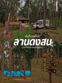 ⛺️ ลานดงสน | จุดกางเต็นท์ยอดนิยม