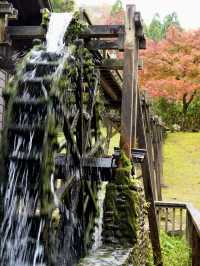 水車小屋の奥の紅葉のグラデーションが絶景