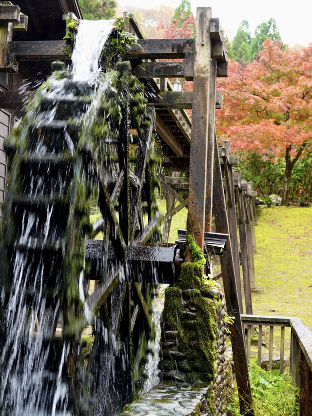 水車小屋の奥の紅葉のグラデーションが絶景
