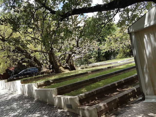 Jardim Botânico da Ajuda