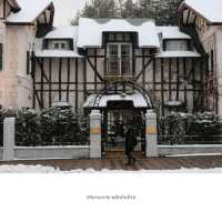 ❄️ Maruyama Park – สวนหิมะใจกลางซัปโปโร