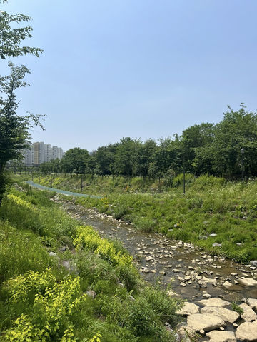 자연 따라 걷는 도심 속 산책길, 송파둘레길 나들이
