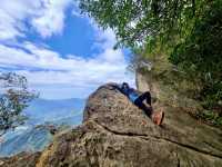 櫻花竹林秘境．石壁山壯麗之旅