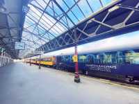 クラシックとカフェの街、ダニーデンをのんびり散策☕