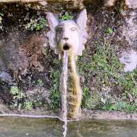 A Renaissance Water Wonderland: Family Adventure at Villa d'Este