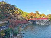 ✨️勝尾寺達摩寺⛩️大阪必去打卡好去處介紹📸💕