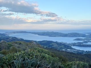 Скрытые жемчужины Данидина