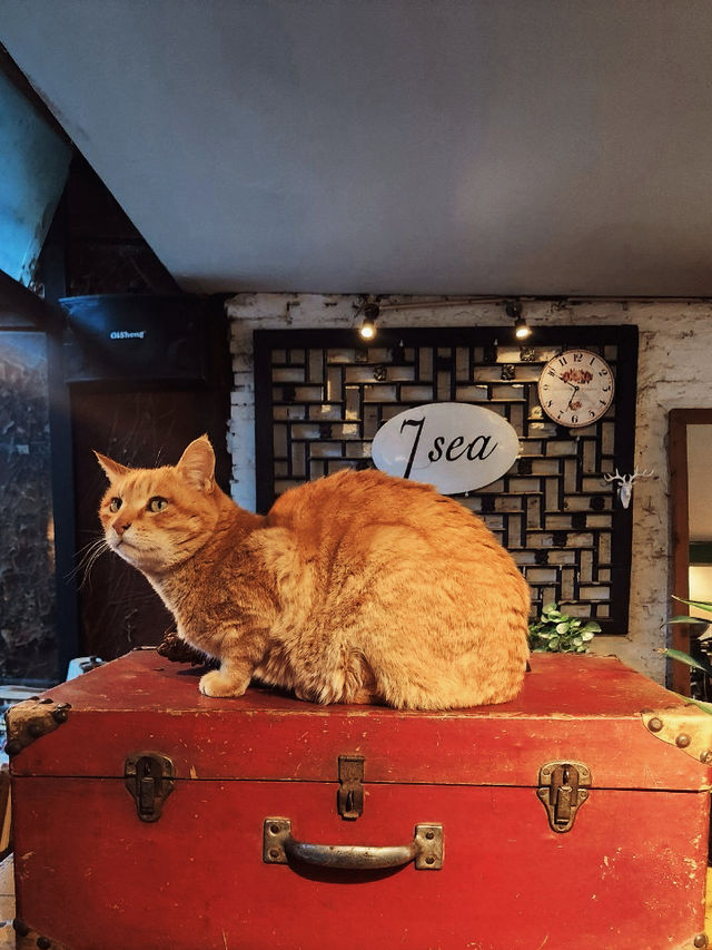 7 Sea : คาเฟ่ & บาร์สุดฮอตในเมืองโบราณไป่ซา