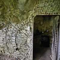 Waitomo Glowworm Caves