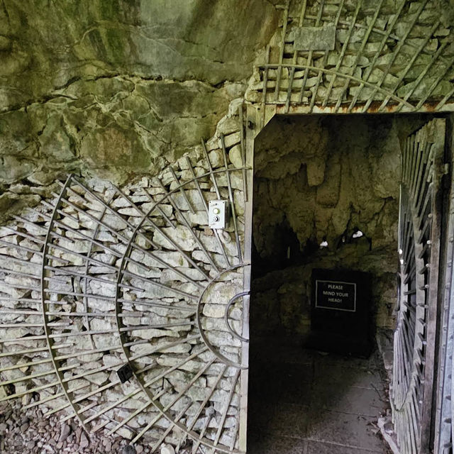 Waitomo Glowworm Caves