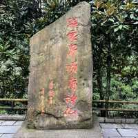 Zhangjiajie — A Landscape So Magnificent It Feels Almost Unreal (张家界)