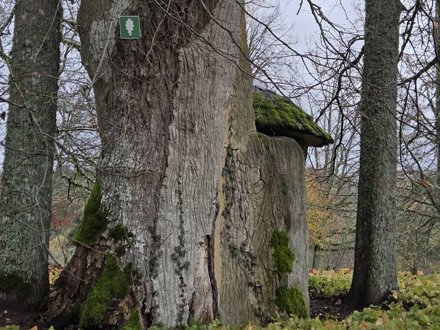 Turaida Castle Turaidas pils