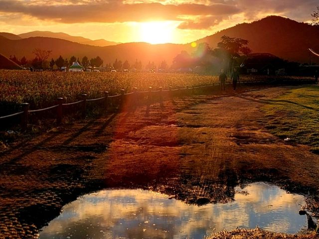 사계절 언제 가도 좋은 천년고도 경주 사계절 언제 가도 좋은 천년고도 경주