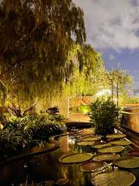 πΈπ A Floral Christmas Escape at 1 Utama ππΈ