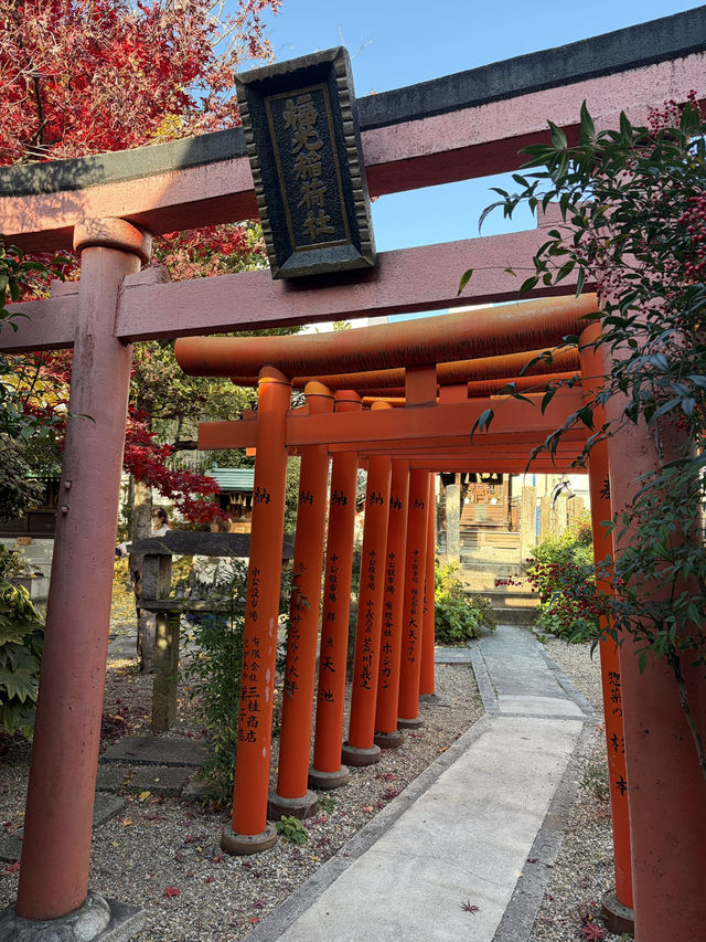 奔向幸福的兔兔神社 — 名古屋 三輪神社 朝聖趣! 奔向幸福的兔兔神社 — 名古屋 三輪神社 朝聖趣!