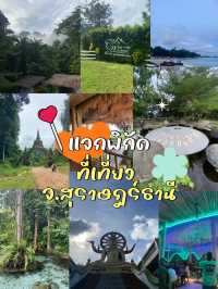 🌴 แจกพิกัดที่เที่ยว จ.สุราษฎร์ธานี