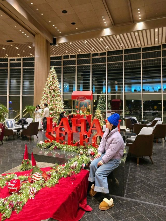 ๊ฒฝ์ฃผ์์ ๊ฐ์ฅ ์์ ํฌ๋ฆฌ์ค๋ง์ค ํธ๋ฆฌ๊ฐ ์๋๊ณณ๐ ๊ฒฝ์ฃผ์์ ๊ฐ์ฅ ์์ ํฌ๋ฆฌ์ค๋ง์ค ํธ๋ฆฌ๊ฐ ์๋๊ณณ๐