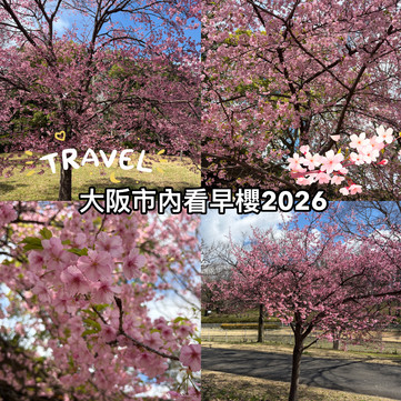 大阪市内の桜の隠れスポット | Trip.com 守口