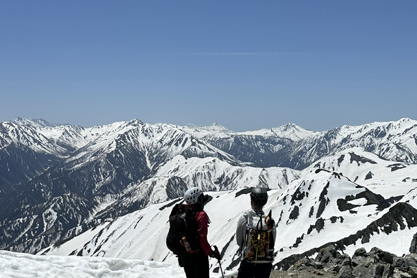 標高3,003m】雲の上で出会った奇跡、雷鳥と絶景の世界🗻 | Trip.com 立山町